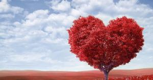 Speciale Valentijnsdagaanbiedingen Speciale Valentijnsdagaanbiedingen